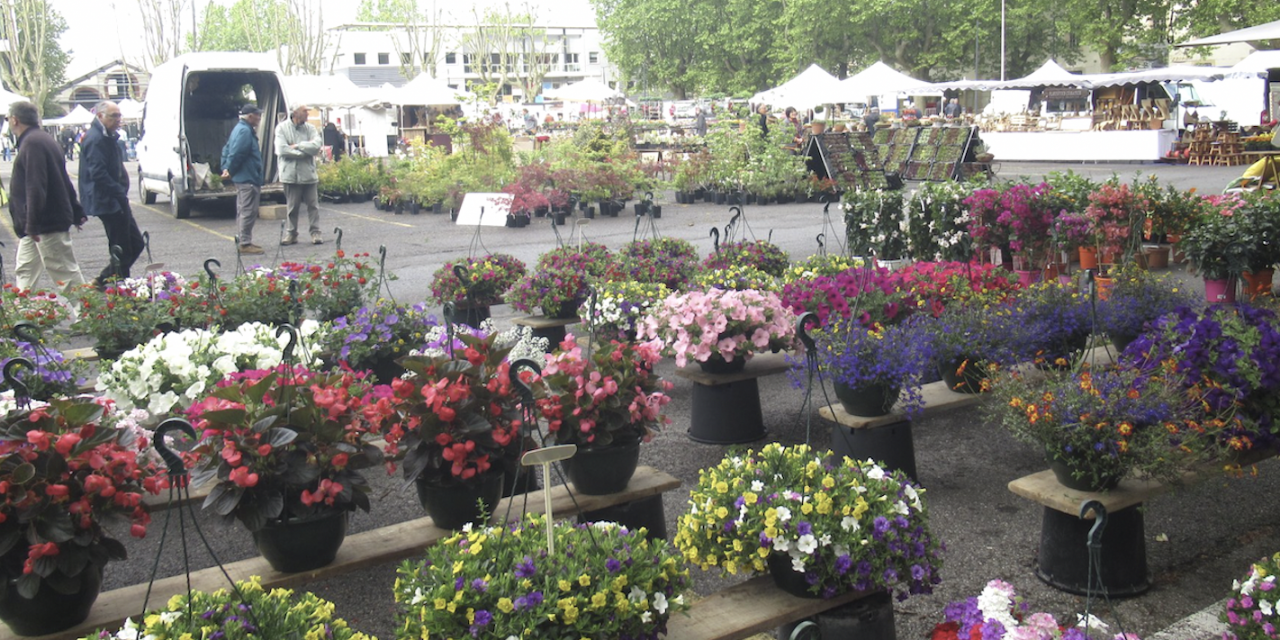 Vide-Grenier ; Meeting Ford RS80 ; Festival folk/rock ; Concert d’orgue ; Fête de la nature ; Vienne en Fleurs, etc.  : où sortir à Vienne et alentours lors du « pont » du 1er mai…