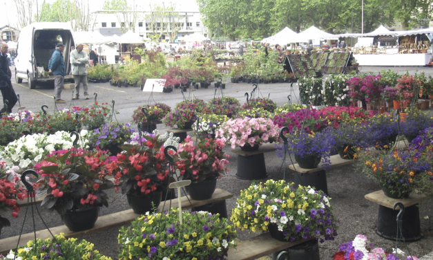 Vide-Grenier ; Meeting Ford RS80 ; Festival folk/rock ; Concert d’orgue ; Fête de la nature ; Vienne en Fleurs, etc.  : où sortir à Vienne et alentours lors du « pont » du 1er mai…