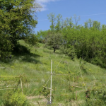 Viennoiseries : Projet de verger/jardin participatif près de Vienne  ; Le conclave à Vienne, comme si vous y étiez ; Des affiches à Estressin pour sensibiliser aux déchets