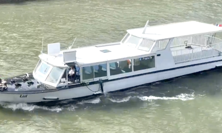 Depuis ce mercredi 18 juin, les « Navigônes » relient Vaise à Confluence en 30 minutes.