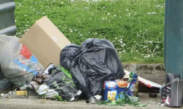 La plaie des déchets abandonnés : la Ville de Vienne bien décidée à  intensifier la lutte