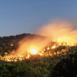 Parallèlement à l’alerte orange canicule, la préfecture place le Nord-Isère en risque sévère aux feux de forêt