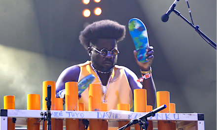 Jazz à Vienne, diaporama : les insolites du Festival…