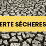 La préfecture place l’ensemble des cours d’eau du Rhône et de la Métropole de Lyon en « alerte sécheresse »