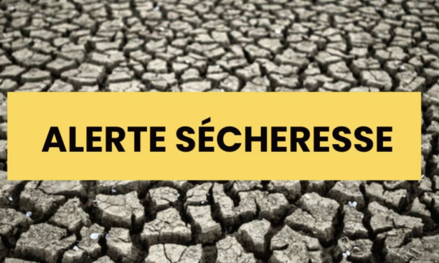 La préfecture place l’ensemble des cours d’eau du Rhône et de la Métropole de Lyon en « alerte sécheresse »