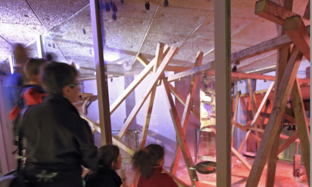Avec la LPO, le parc animalier de Peaugres organise un week-end de découverte des chauves-souris, les 23 et 24 août
