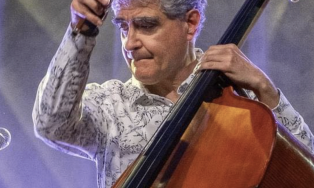 Murder party ; Grande braderie des bibliothèques ; Jazz à la Verrière des Cordeliers ; Découverte des fouilles du mausolée de St-Romain-en-Gal, etc. : où sortir à Vienne et alentours ce week-end