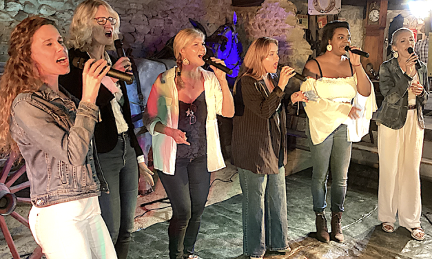 Du 3 au 5 octobre : avec les Livizz et Alter Duo en têtes d’affiche, Estrablin fait son Festival (gratuit…)