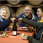 De Vienne à Valence : le vignoble de la Vallée du Rhône se met en scène du 17 au 19 octobre