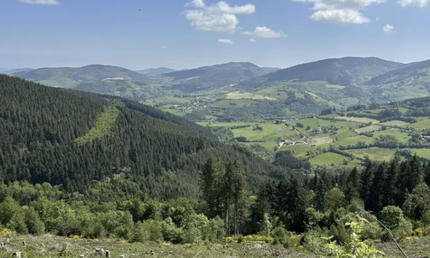 Un cadavre retrouvé dans le Pilat près de Doizieux. Le prof de philo de St-Romain-en-Gal disparu en mai dernier ?