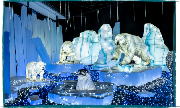 A partir du samedi 18 octobre, un « Festival des Lumières Sauvages » original au Safari parc de Peaugres