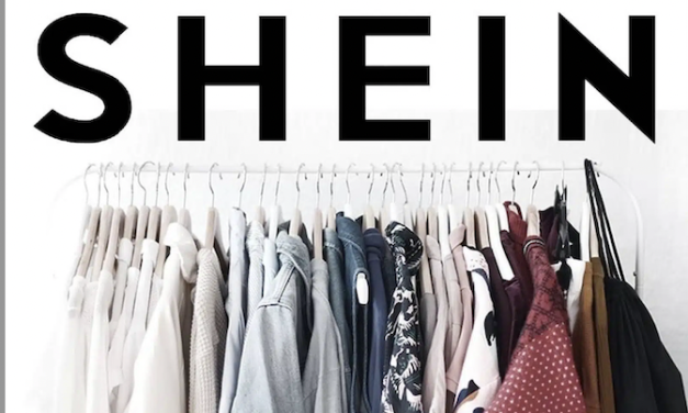Une arrivée décriée : le roi de la « fast fashion », Shein s’implante à Grenoble