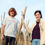 Œnologie-Sophie Eymin et Kevin Tichoux sur les coteaux de Seyssuel, distingués « Talents de l’année 2026 « par le guide Bettane-Desseauve