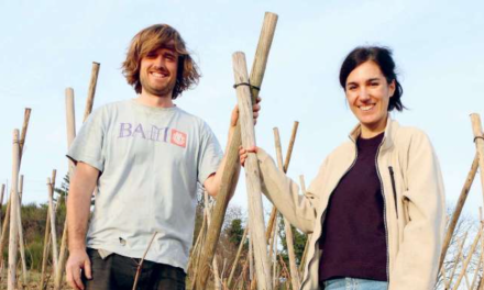 Œnologie-Sophie Eymin et Kevin Tichoux sur les coteaux de Seyssuel, distingués « Talents de l’année 2026 « par le guide Bettane-Desseauve