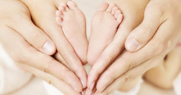 Carnet : mariages, décès et naissances à Vienne du 10 au 16 novembre 2025