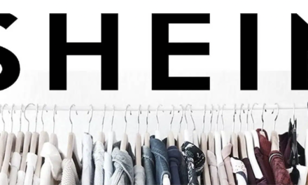 Un quadragénaire de Saint-Clair-du-Rhône, acquéreur de poupées sexuelles sur Shein mis en examen