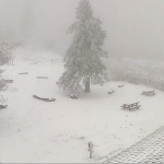 De 7 à 10 cm de neige tombés cette nuit sur le massif du Pilat : pas encore suffisant pour rouvrir l’espace nordique, mais…