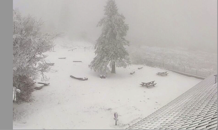 De 7 à 10 cm de neige tombés cette nuit sur le massif du Pilat : pas encore suffisant pour rouvrir l’espace nordique, mais…