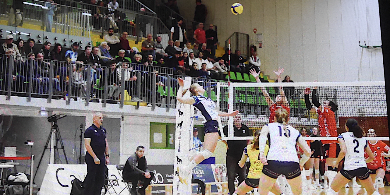 Volley-ball, Elite féminine, Coupe de France pro : les Viennoises seront opposée en quarts à Vandœuvre/Nancy le 16 décembre