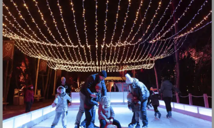 Le Bois des Lutins s’illumine ; Portes ouvertes sur les confitures; Salon des vins ;  Le Pavillon du Tourisme en Fête ; Un Prix Goncourt au Manège, etc. : où sortir à Vienne et alentours ce week-end et …mardi