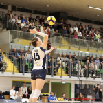 Volley-Ball, Elite féminine : nouvelle victoire des Viennoises qui battent assez facilement les joueuses de Balma