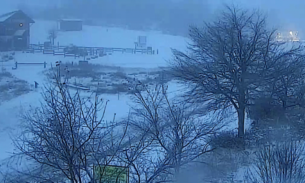 Les premières neiges sont tombées sur le Pilat : de 2 à 5 cm