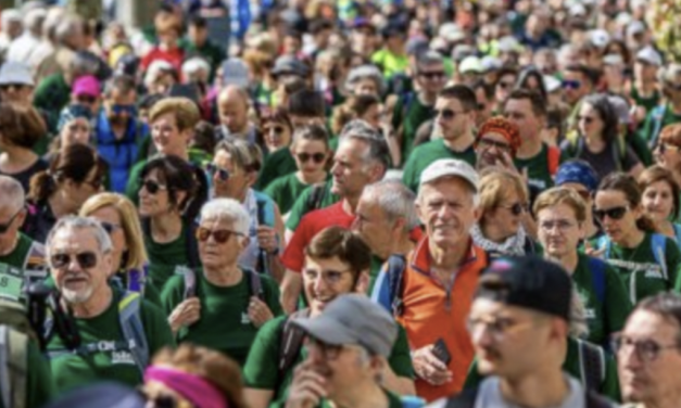 Selon l’Insee, » la population de référence » pour Vienne est de 32 216 habitants : + 2 472 habitants en six ans