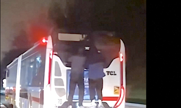 « Irresponsable ! » : deux individus filmés accrochés à un bus  des TCL circulant sur la M6 à Lyon