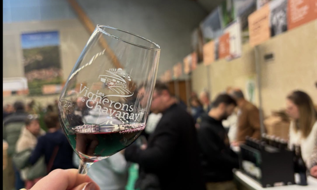 Marché aux vins de Chavanay ; Jazz X 3 ; Stand-up ; Théâtre avec « les Ritals » : où sortir à Vienne et alentours ce week-end et…mardi