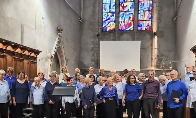 Concerts de Noël X 2, spectacle pour enfants et mini-ferme pour les petits, expo-vente à la galerie, etc : où sortir à Vienne et alentours ce week-end ?