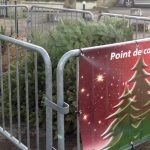Collecte de sapins de Noël à Vienne : les lieux où les déposer …ou les replanter..
