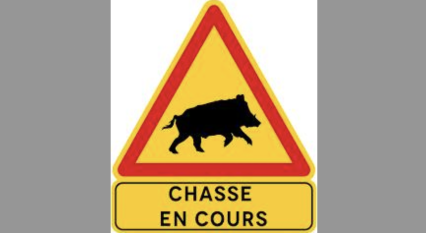 Pour cause de…battue aux sangliers, l’échangeur de Ternay-Communay de l’A46 fermé ce samedi matin