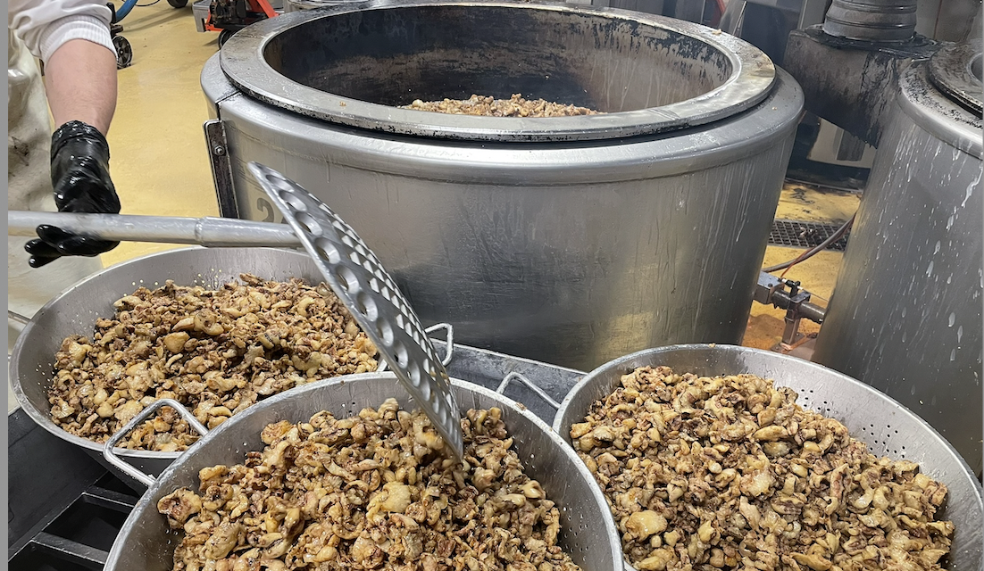 Son atelier de fabrication est basé à Reventin-Vaugris : « Le Graton Lyonnais » décroche la médaille d’Or au Concours International de Lyon