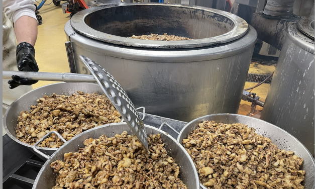 Son atelier de fabrication est basé à Reventin-Vaugris : « Le Graton Lyonnais » décroche la médaille d’Or au Concours International de Lyon