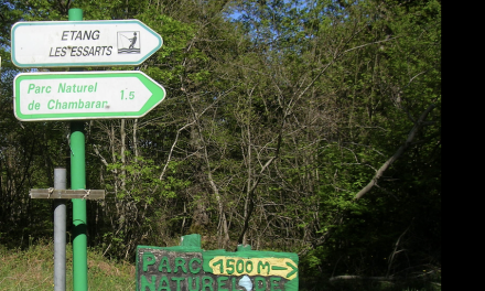 Isère-La préfète dit non : il n’y aura pas d’éoliennes dans les Chambaran