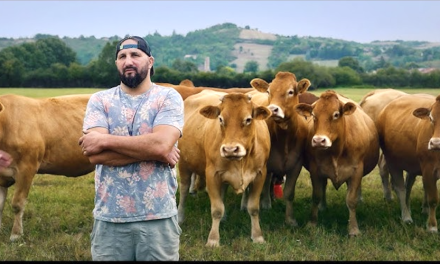 « Rural » présenté par son auteur en avant-1ère au cinéma l’Amphi à Vienne : un film en forte résonance avec la colère agricole !