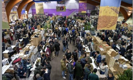 Festival de cinéma ; Marché aux vins d’Ampuis ; Danse au Manège ; Nuits de la Lecture et stand-up final ; Concert en duo : où sortir à Vienne et alentours ce week-end