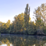 Une enquête  pour meurtre raciste à Loire-sur-Rhône, annonce le parquet de Lyon : un suspect écroué