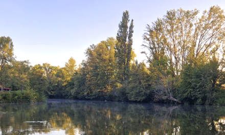 Une enquête  pour meurtre raciste à Loire-sur-Rhône, annonce le parquet de Lyon : un suspect écroué