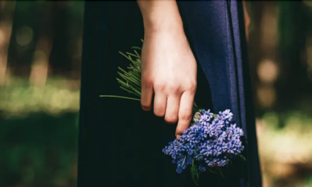 Meurtre de Loire-sur Rhône-Liste Vienne Populaire Ecologique et Solidaire : « effroi et solidarité »
