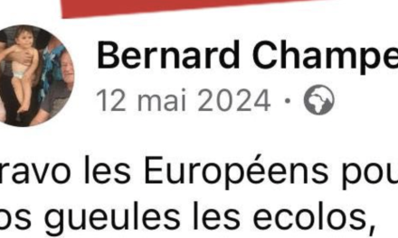 Municipales, mars 2026-Un colistier de la liste RN/UDR menée par Adrien Rubagotti auteur de posts racistes et homophobes sur Facebook