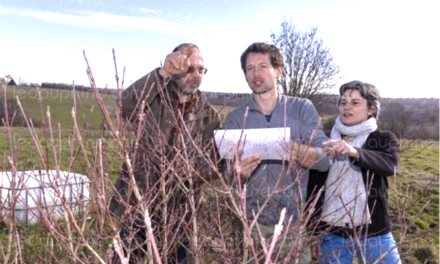 Viennoiseries-Voulez-vous planter des haies avec la ferme des Bacholles ? ; Débat autour du film « La Maison des femmes » avec la présidente du tribunal et Fête du timbre