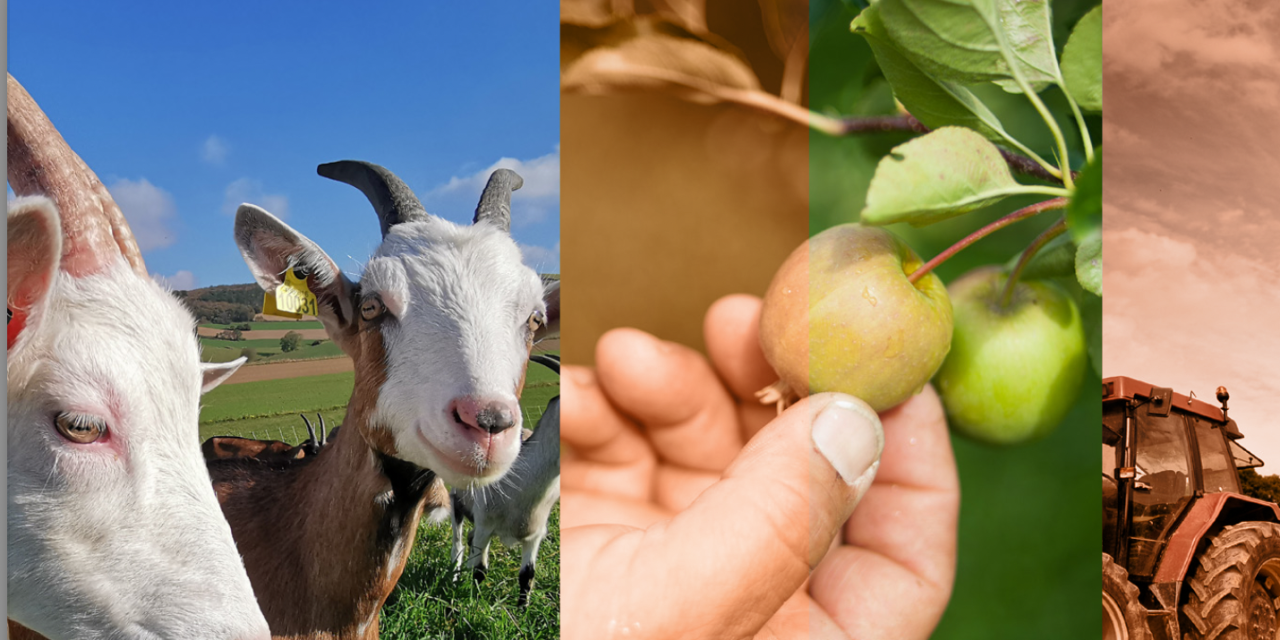 Vienne Condrieu Agglomération : une soirée spéciale, si vous voulez transmettre ou reprendre une exploitation agricole…