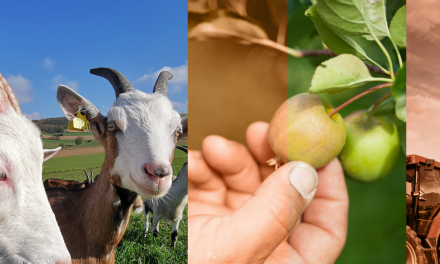 Vienne Condrieu Agglomération : une soirée spéciale, si vous voulez transmettre ou reprendre une exploitation agricole…