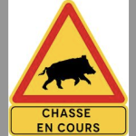 Ce dimanche matin, jusqu’à 16 heures : nouvelle battue  administrative au sanglier à hauteur de l’A 46, un nouvel échangeur fermé