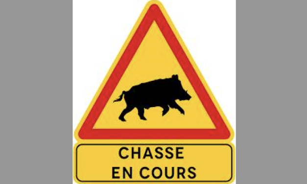 Ce dimanche matin, jusqu’à 16 heures : nouvelle battue  administrative au sanglier à hauteur de l’A 46, un nouvel échangeur fermé