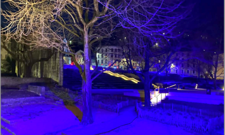 Prévention contre le cancer : le Jardin de Cybèle  à Vienne tout en bleu jusqu’à la fin du mois