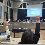 Conseil municipal : où concernant l’indemnisation des commerçants du cours Brillier du fait des travaux, sont évoqués  ceux présents et à venir à Vienne