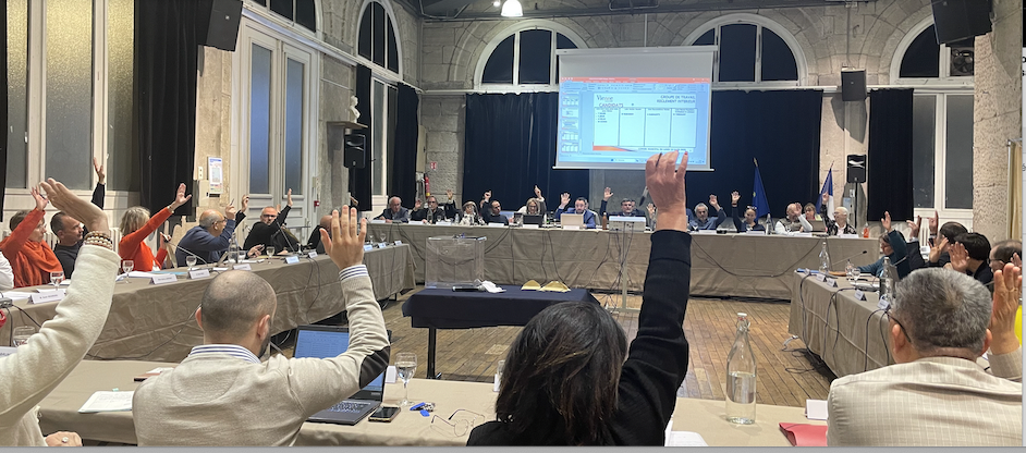 Conseil municipal : où concernant l’indemnisation des commerçants du cours Brillier du fait des travaux, sont évoqués  ceux présents et à venir à Vienne