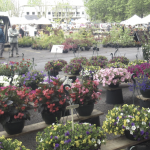 Vienne en fleurs ; Vide-grenier à l’Espace Saint-Germain ; 5 concerts à Vienne pour le Jazz Day, etc. : où sortir à Vienne  et alentours lors du « pont » du 1er mai